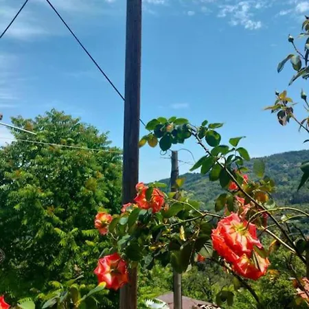 Hara's House Pelion *