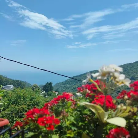 Apartmán Hara's House Pelion *