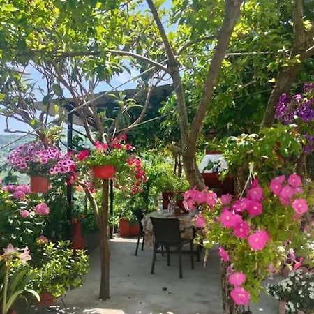 Hara's House Pelion * Makrirrákhi