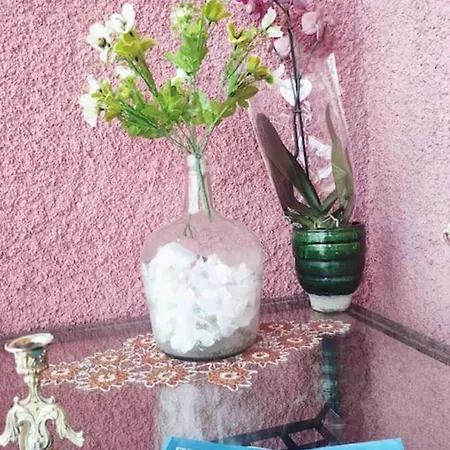 Apartmán Hara's House Pelion